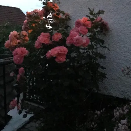 Mit Terrasse Bei Nürnberg Apartment Happurg