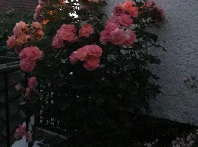 Mit Terrasse Bei Nuernberg アパート Happurg